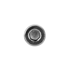 SS M2.5x6L Allen Head Screws (25pcs)