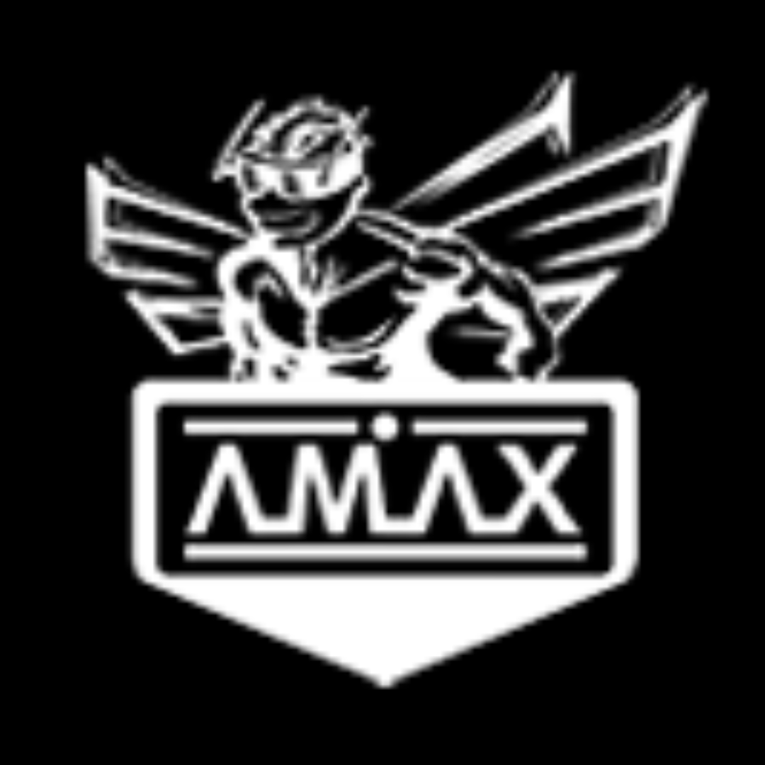 picture showcasing logo of Amax